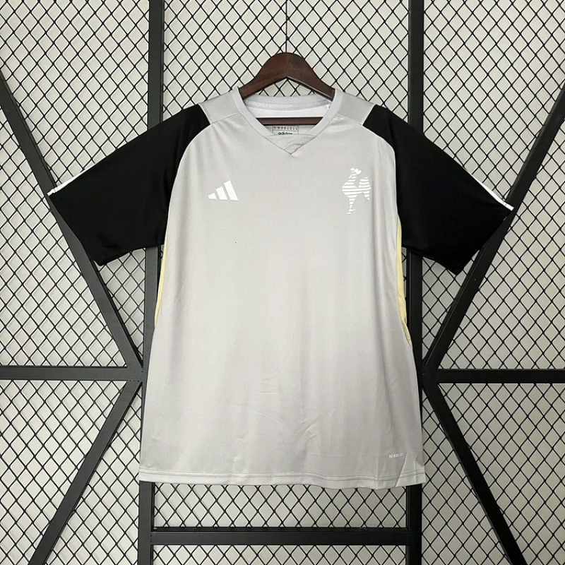 2024/25 Atletico Mineiro Gray Training Shirts 1:1 Thai Quality
