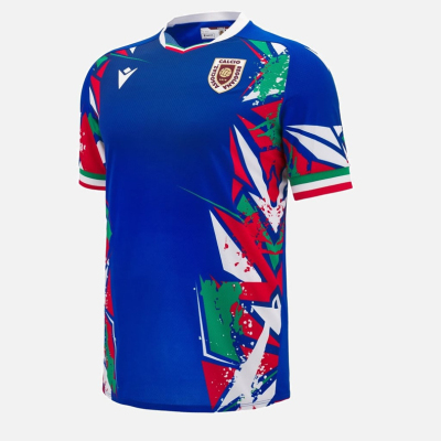 Reggiana 24/25 Third Football Jersey