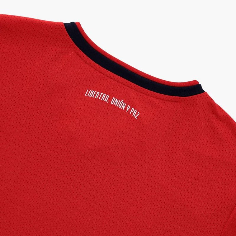 2024 Ecuador Special Soccer Jersey
