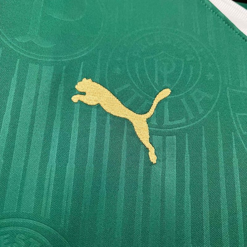 2024/2025 Palmeiras Home Jersey 1:1 Thai Quality
