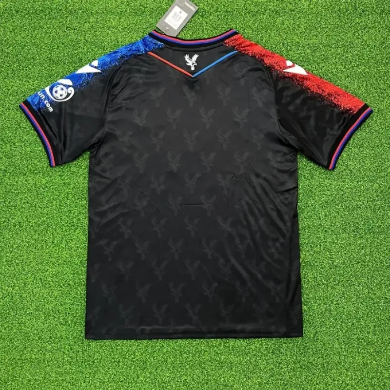 Crystal Palace 24/25 Third Football Shirt