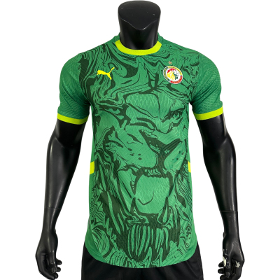 Player Edition - 2025 Senegal Away Football Jersey