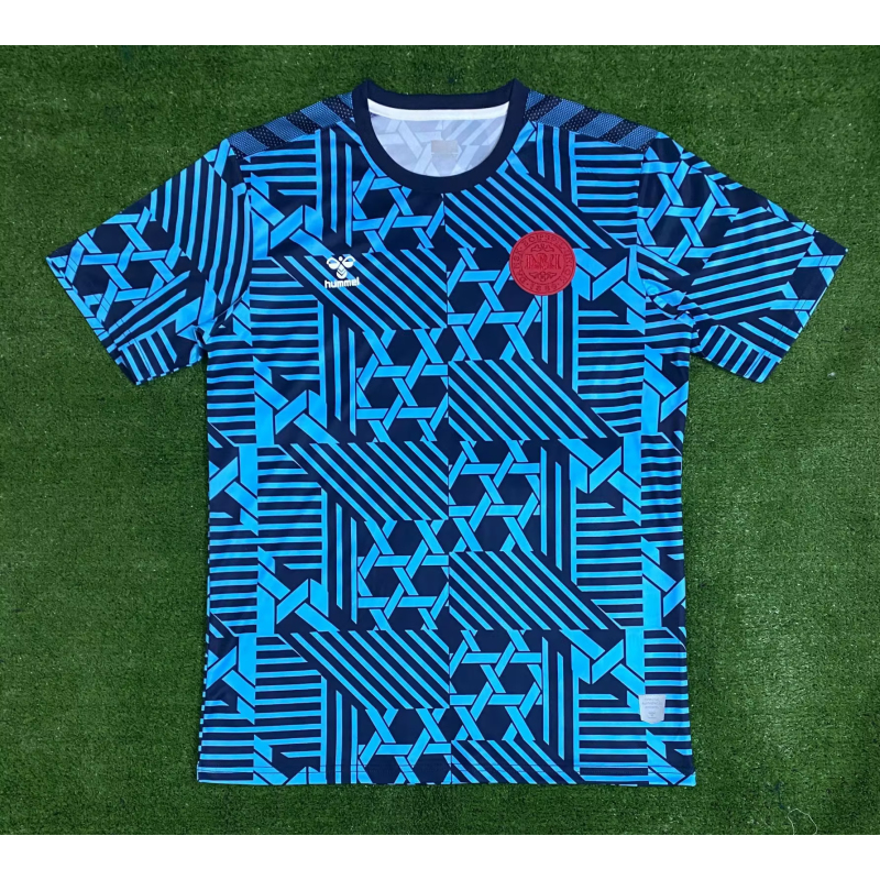 2023 Denmark Training Wear Soccer Jersey