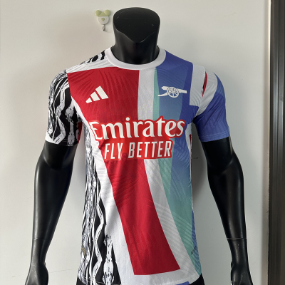 Player Edition - Arsenal 24/25 Pre-match Training Jersey