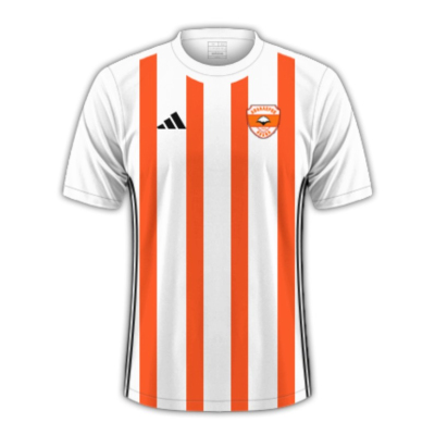 Adanaspor 24/25 Away Football Jersey