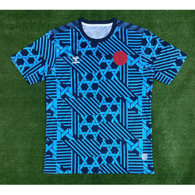 2023 Denmark Training Wear Soccer Jersey