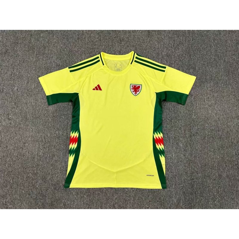 Wales Away Kit 24/25 Euro Cup 2024 Football Jersey