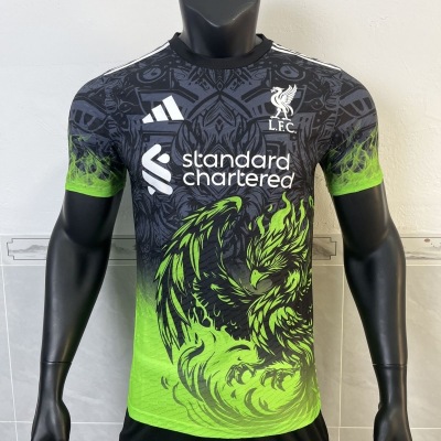 Player Version Liverpool Special Kit 24/25 Football Jersey