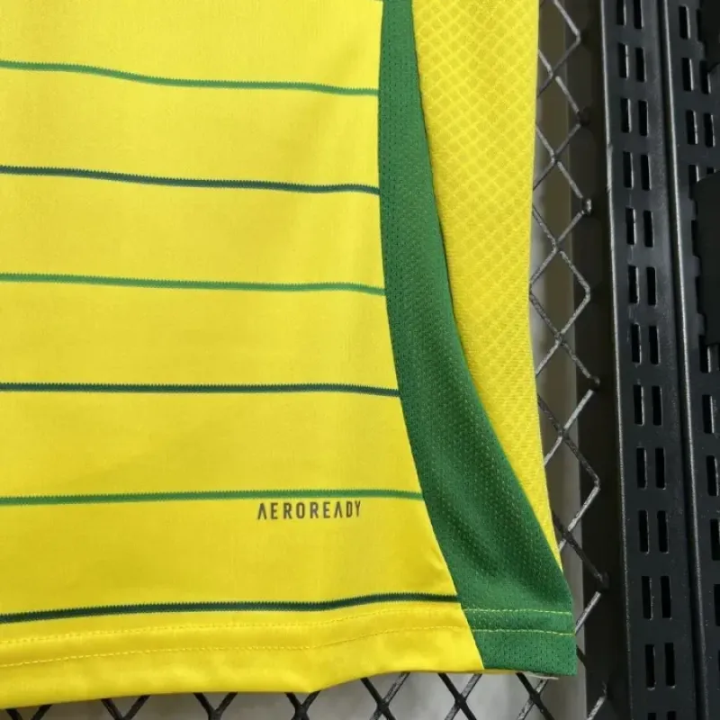 Celtic Away Kit 24/25 Football Jersey