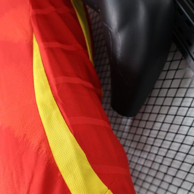 Player Spain Home Kit 24/25 Euro Cup 2024 Football Jersey