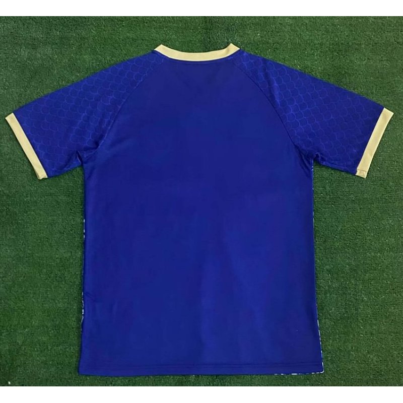 2024 Japan Special Edition Blue Football Shirt 1:1 Thai Quality
