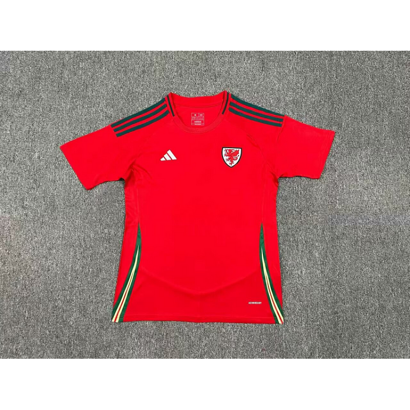 Wales Home Kit 24/25 Euro Cup 2024 Football Jersey