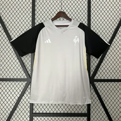 2024/25 Atletico Mineiro Gray Training Shirts 1:1 Thai Quality