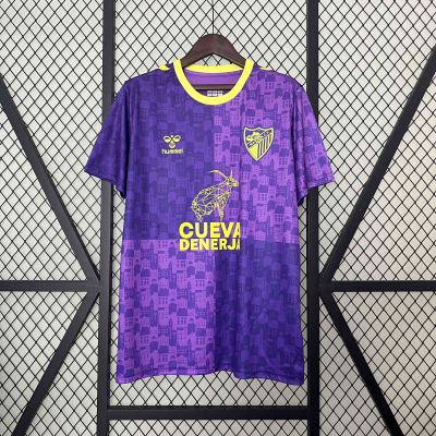 24/25 Malaga Training football Jersey