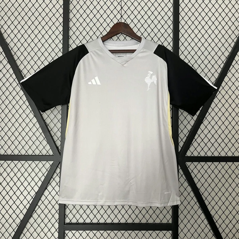 2024/25 Atletico Mineiro Gray Training Shirts 1:1 Thai Quality