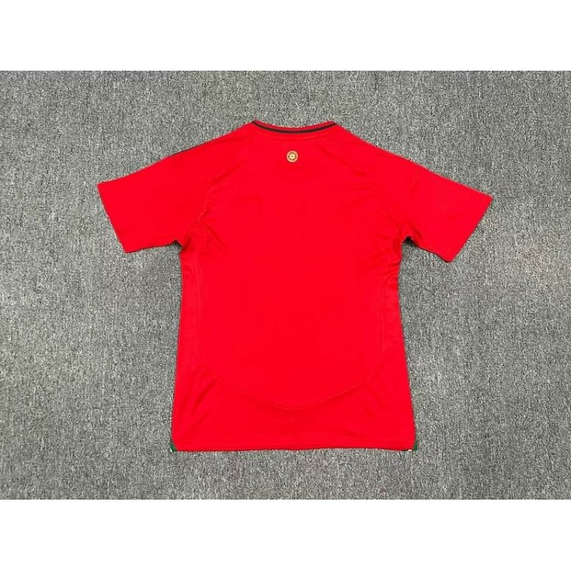 Wales Home Kit 24/25 Euro Cup 2024 Football Jersey