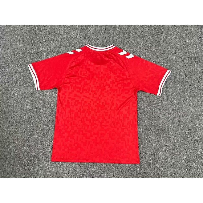 Denmark Home Kit 24/25 Euro Cup 2024 Football Jersey
