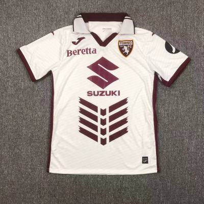 24/25 Torino Away Football Jersey