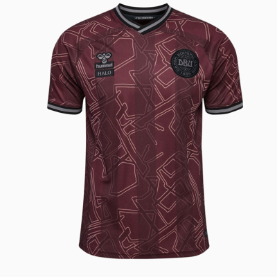 24/25 Denmark special edition jersey