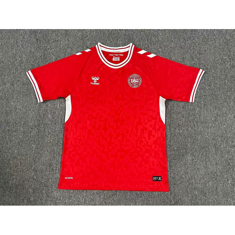 Denmark Home Kit 24/25 Euro Cup 2024 Football Jersey