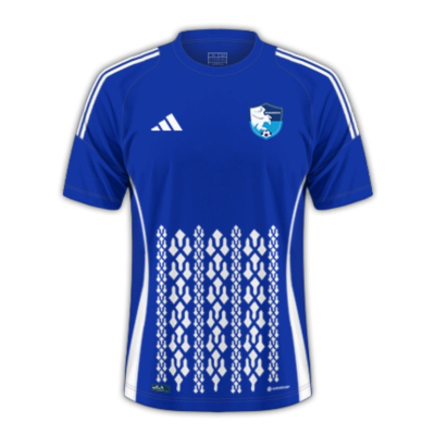 BB Erzurumspor 24/25 Away Football Jersey