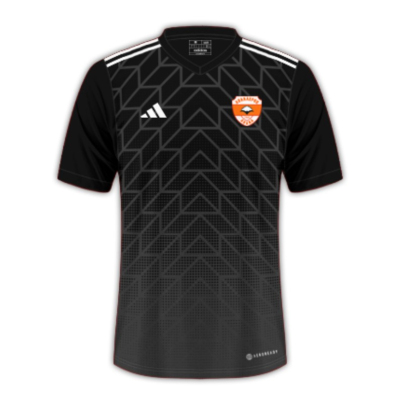 Adanaspor 24/25 Third Football Jersey