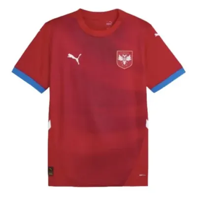 2022 FIFA World Cup Serbia Home Soccer Shirt