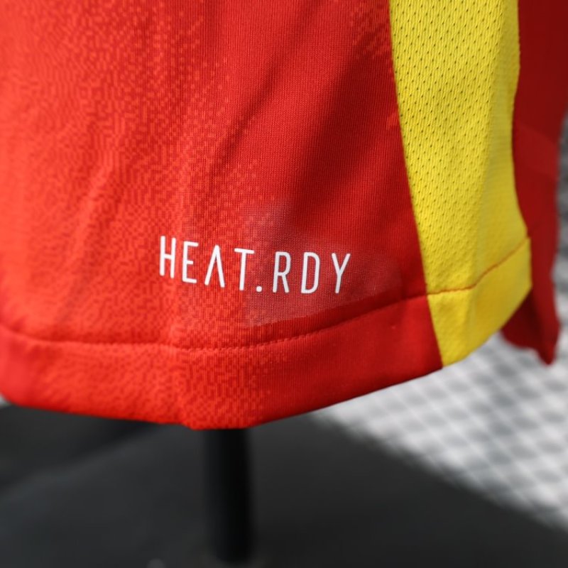 Player Spain Home Kit 24/25 Euro Cup 2024 Football Jersey