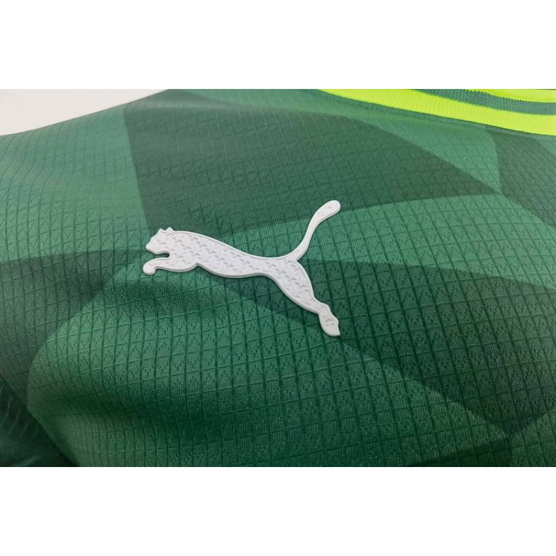 2023/2024 Player Version Palmeiras Home Jersey 1:1 Thai Quality