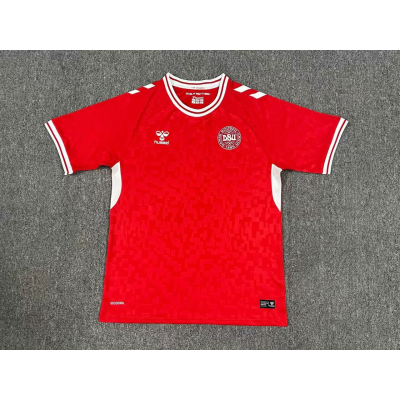 Denmark Home Kit 24/25 Euro Cup 2024 Football Jersey