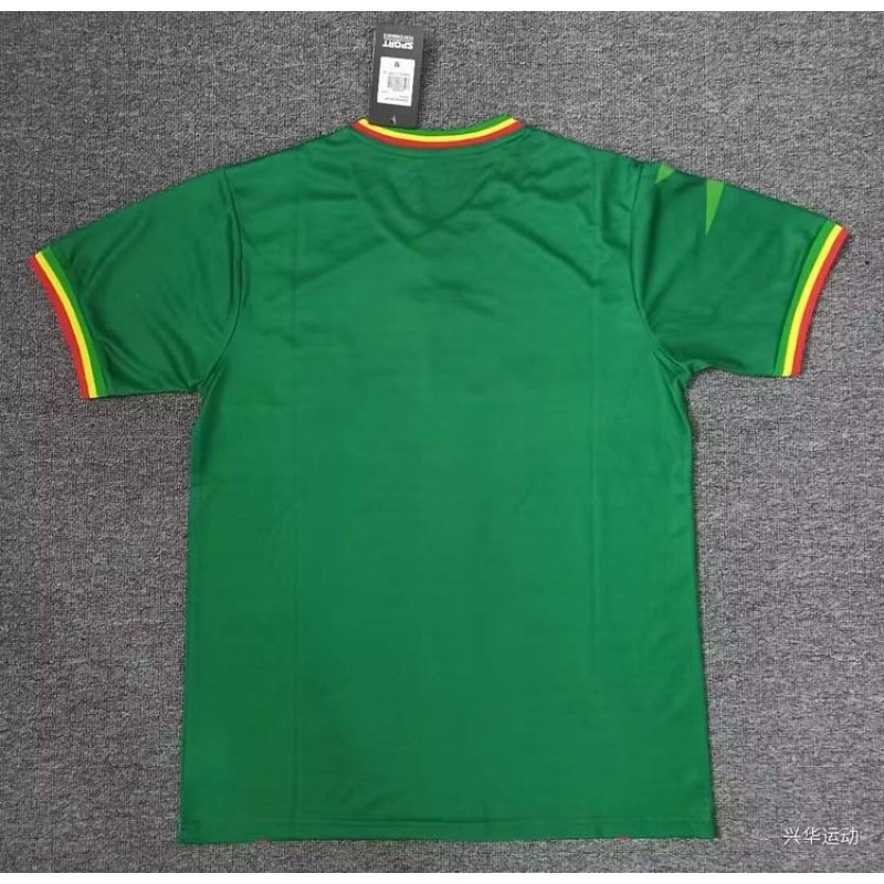 2024 Mali Africa Cup Away Football Shirt 1:1 Thai Quality