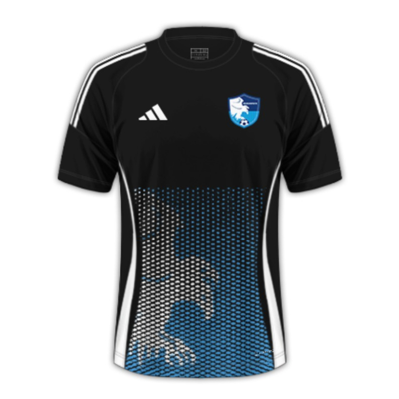 BB Erzurumspor 24/25 Third Football Jersey