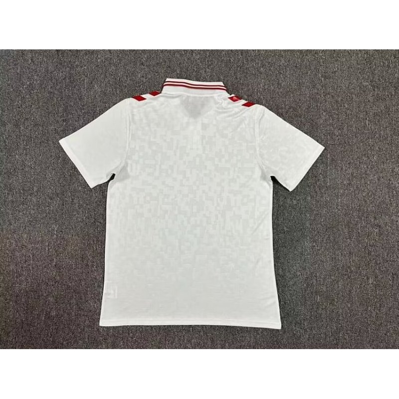 Denmark Away Kit 24/25 Euro Cup 2024 Football Jersey