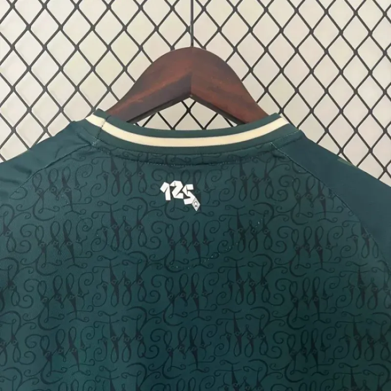 2024/2025 Werder Bremen  away Football Shirt