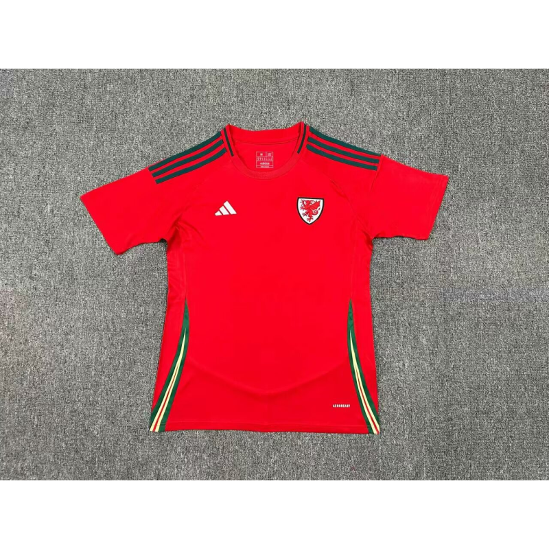 Wales Home Kit 24/25 Euro Cup 2024 Football Jersey
