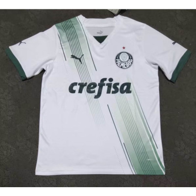 2023/2024 Palmeiras Away Jersey 1:1 Thai Quality