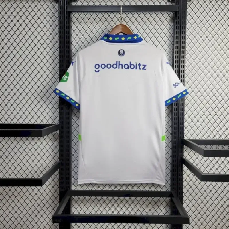 PSV Eindhoven Third Jersey 24/25 Football Jersey