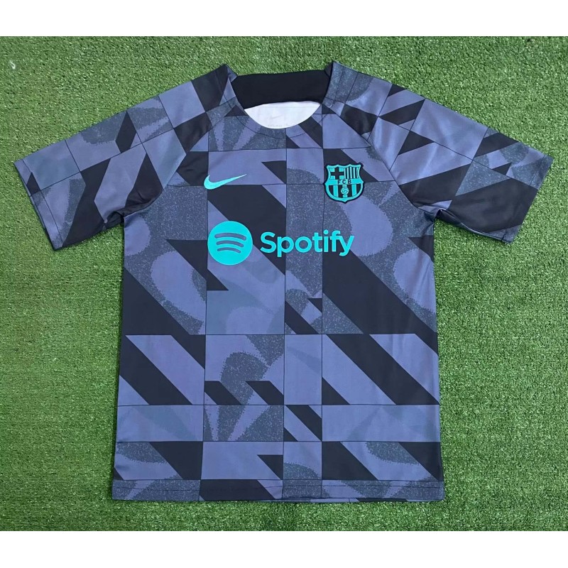 2023/2024 Barcelona Training Wear Gray Jersey