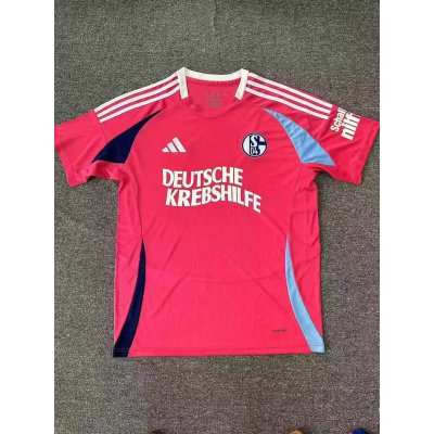 Schalke 24/25 "German Cancer Aid" Special Kit