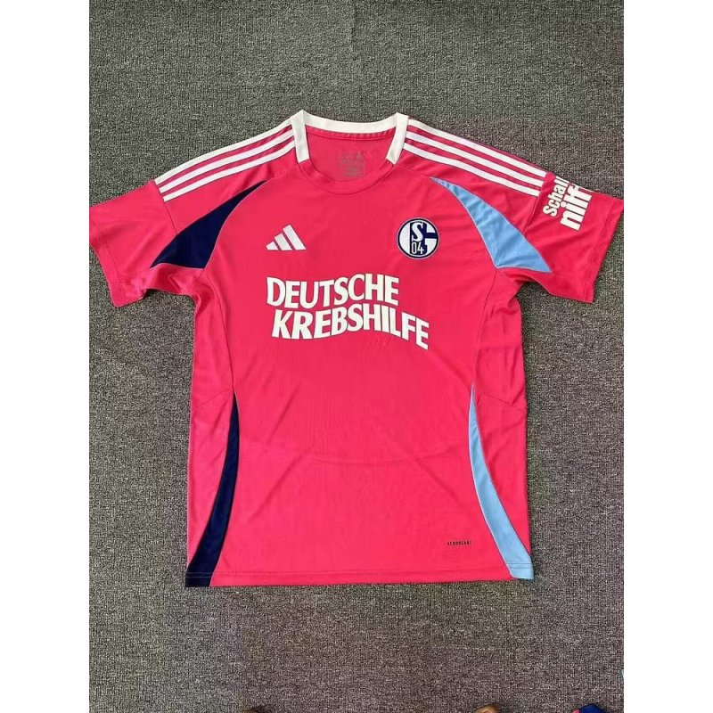 Schalke 24/25 "German Cancer Aid" Special Kit