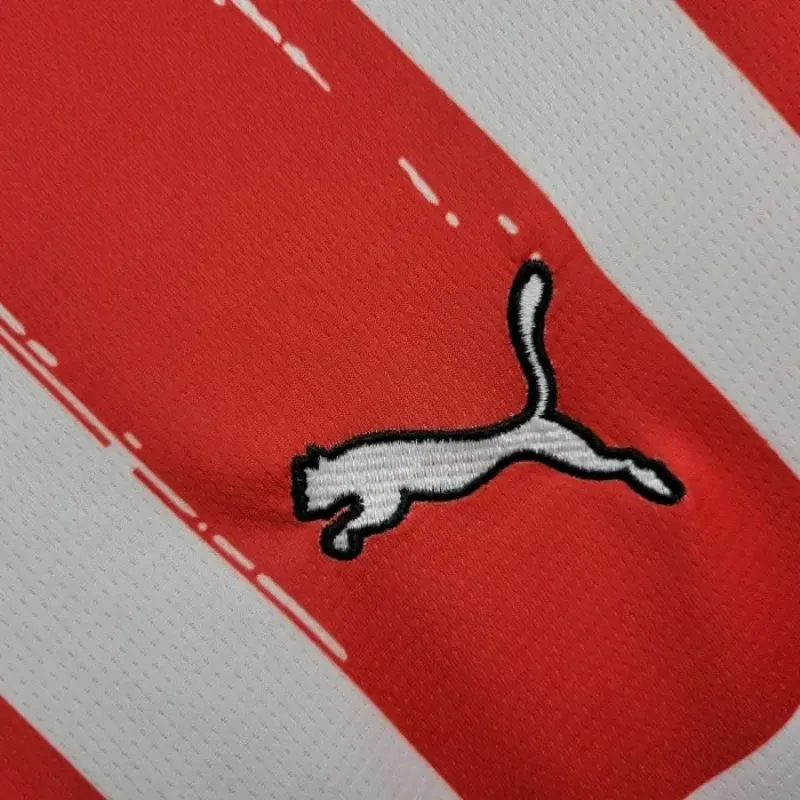 PSV Eindhoven home Jersey 24/25 Football Jersey