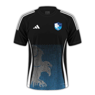 BB Erzurumspor 24/25 Third Football Jersey