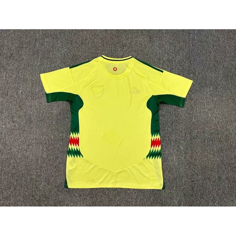 Wales Away Kit 24/25 Euro Cup 2024 Football Jersey