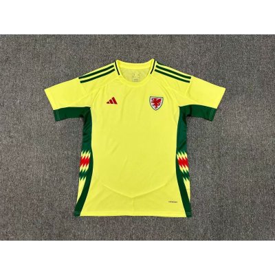 Wales Away Kit 24/25 Euro Cup 2024 Football Jersey