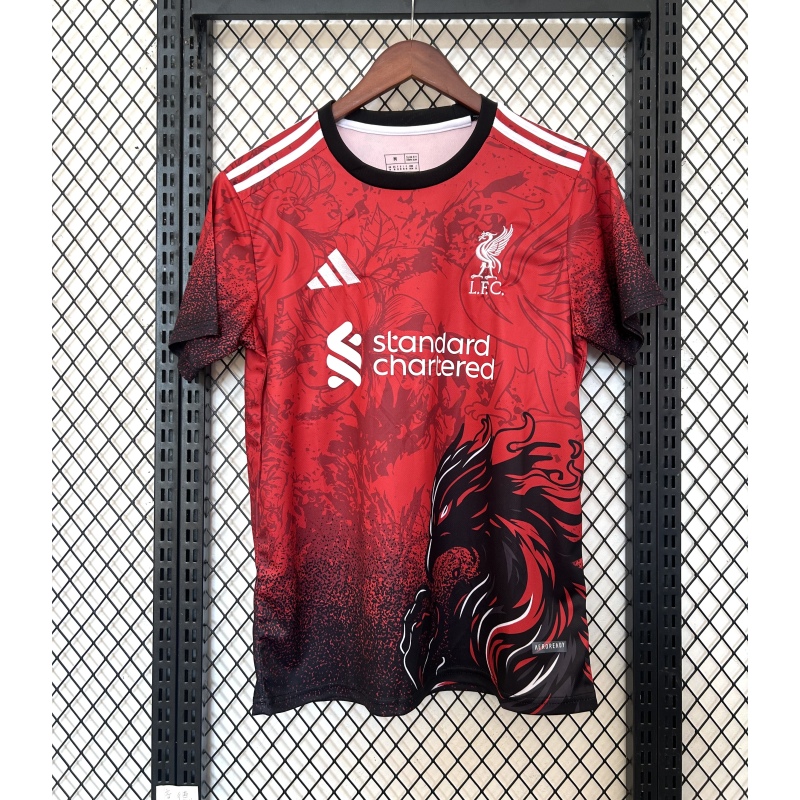 Liverpool 24/25 Special Edition Football Jersey