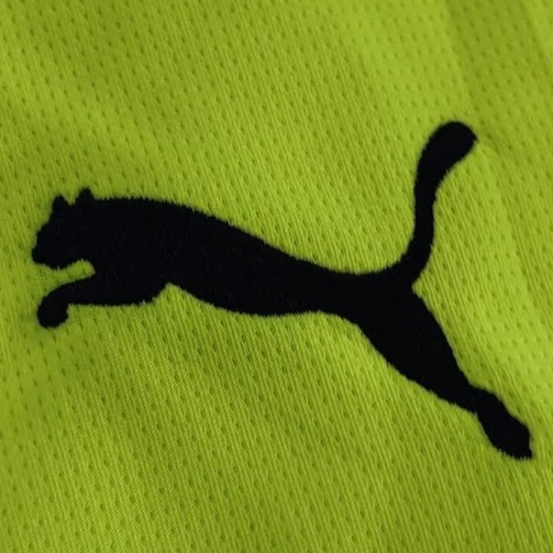 Dortmund 24/25 Special Edition Jersey